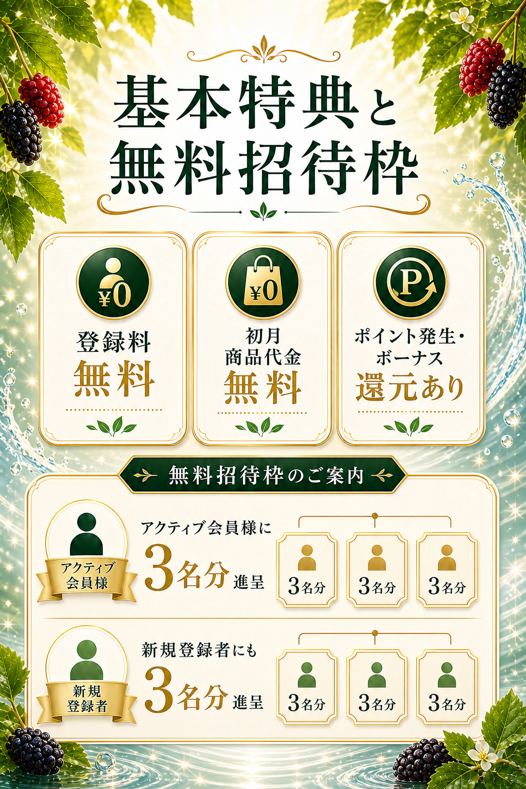 基本特典と無料招待枠