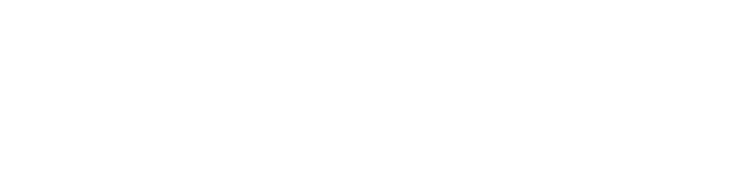 VERLiS